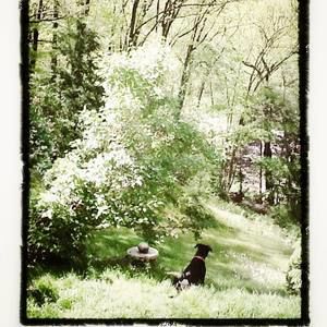 Meet your Posher, Ellen